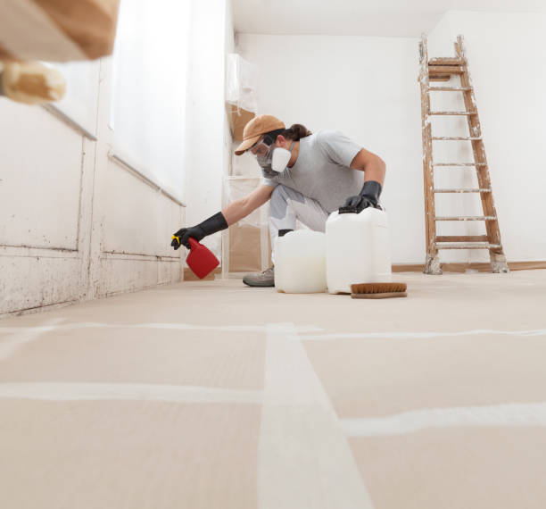 Best Attic Mold Removal  in Weissport East, PA